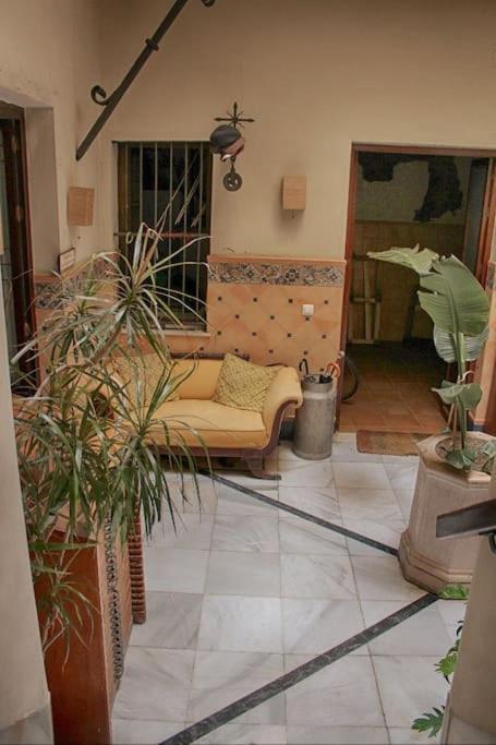 Penthouse With Large Terrace In Center Of Cadiz公寓 外观 照片
