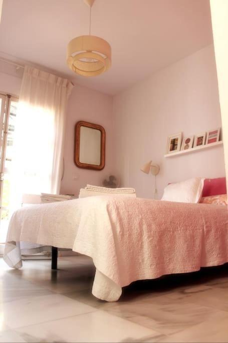 Penthouse With Large Terrace In Center Of Cadiz公寓 外观 照片